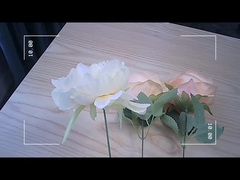 2.7K 12MP Tiny FPV Camera With Voice Prompt IPS Colorful Display Small Fpv Camera